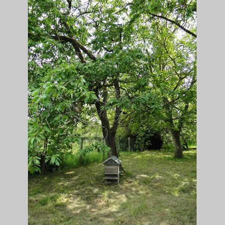 Miller'S Farm. Cottage On The Auhtie For 2 Hem-Hardinval Exterior photo